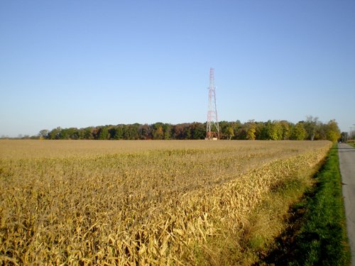 Property photo 9 - 202+/- Acres Offered in 7 Tracts